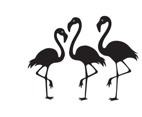 Fototapeta premium flamingo silhouette isolated on white background.