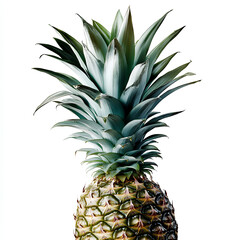 Obraz premium Ripe pineapple fruit isolated on white background