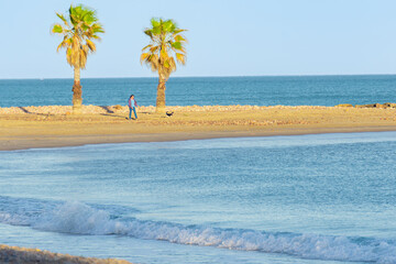 woman walks her dog on sandy beach landscape with palm trees exotic tropical coast with wave in foreground. Summer vacation, amazing nature vacation. Relaxing paradise