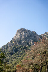 view from the mountain