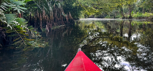 Kayaking on the Loxahatchee River, Florida