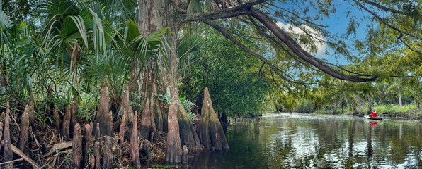 Kayaking on the Loxahatchee River, Florida