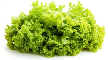 Fresh and vibrant Romain lettuce leaf isolated on white background showcasing texture and detail with full depth of field for culinary uses