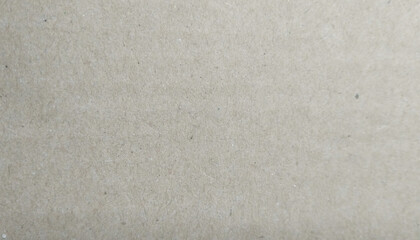 Fototapeta premium paper texture