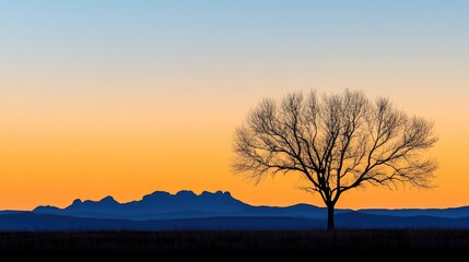 Naklejka premium Stunning silhouette of a tree against a colorful sunset at Airport Mesa in Sedona Arizona showcasing vibrant hues and tranquil landscapes