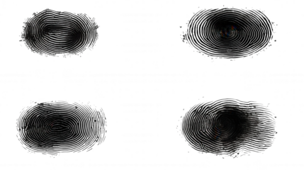 Fingerprint Analysis Four Whorl Patterns, Biometric Security, Identification