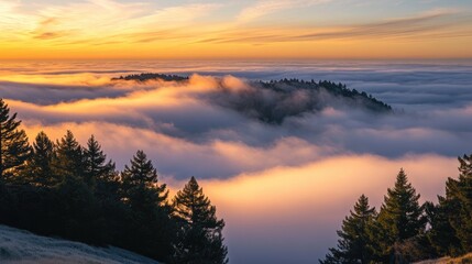 Fototapeta premium Enchanting morning fog enveloping a serene landscape at sunrise with trees silhouetted against golden and pastel skies.