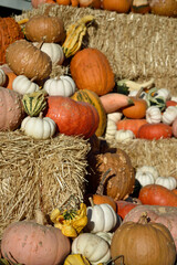 Autumn Harvest Display