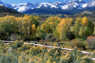Autumn Trees and Mountain Range