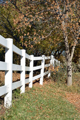 Fenceline with Autumn Leaves