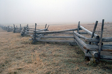Foggy Fence in Grassland
