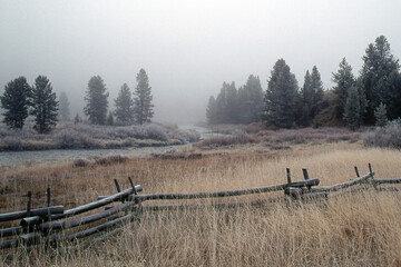 Misty Morning in Grassland
