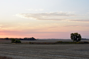 Pastel Sunrise Over Field