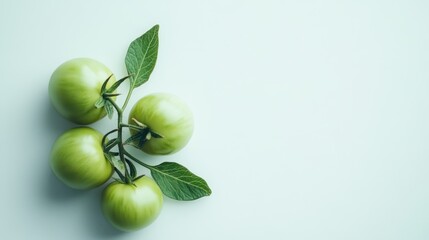 Fresh green tomatoes with leaves arranged on a pale background creating a minimalistic and natural food concept image.