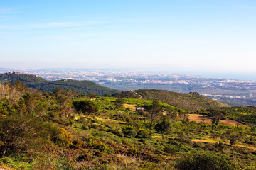 View of the city of Palermo, Sicily, Italy.