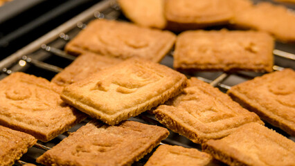 baking beautiful and delicous cookies for Christmas, dough, ginger bread, speculatioo