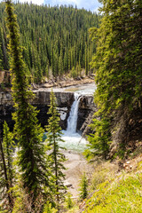 A waterfall is surrounded by trees and a forest