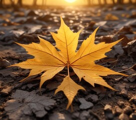 Golden acer leaf skeleton lying on the ground with a warm sunset glow, trees, acer, fading