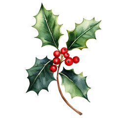 holly and berries