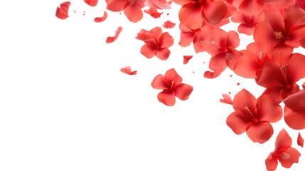 Falling Red Hibiscus Flowers, Delicate Petals, Soft Background, Floral Beauty, Natures Grace, Vivid 