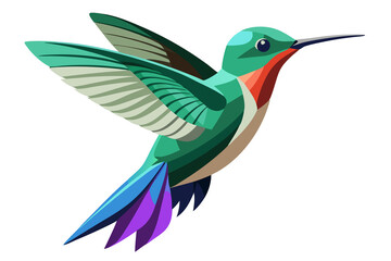 Obraz premium Broad-Billed Hummingbird art work illustration 