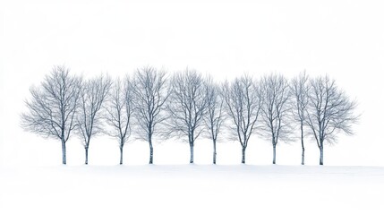 Fototapeta premium Silhouette of Bare Trees with Snow Covered Branches Snow Covered Forests and Trees, Winter season, Happy New Year, Happy Christmas 