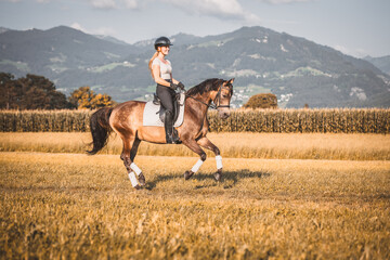 Reiterin mit Pferd