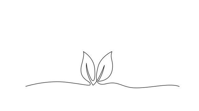 One-Line Drawing Animation of a Growing Sprout and Plant Branch