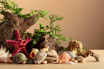 Abstract nature scene with a composition of seashell, starfish, green branches, and snags.