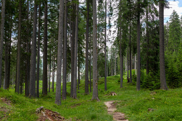 Gorges of Federa  tourist trail. Dolomites mountains. Italy