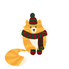 Fluffy cute kitten with scarf, hat and mittens