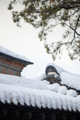 Fototapeta premium Historical palace of South Korea in winter