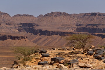 Africa, Mauritania. Rocky fragments of volcanic origin on the rocky plateau of the Agro Natural...