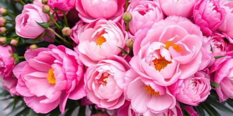 Fototapeta premium Fresh bouquet of pink peonies and roses arranged beautifully with empty space for text, summer, petals, pink