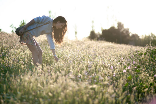 Mujer joven morena de pelo largo recogiendo flores de un campo de flores a contraluz un atardecer de verano