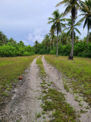Beach path on a tropical island