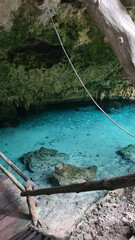 Mexican cenote cavern and trees