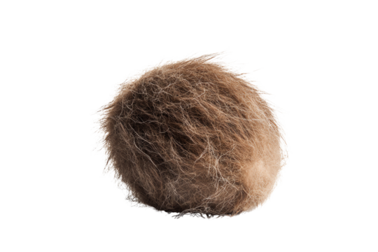 A fluffy, brown, spherical object showcasing a fuzzy texture, ideal for creative and playful applications on a white isolated background.