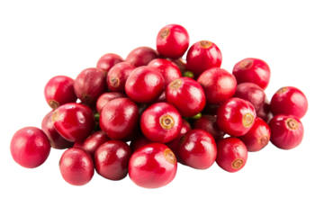 A fresh pile of ripe red coffee cherries, showcasing their vibrant color and glossy texture against a white isolated background.