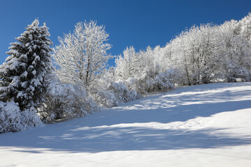Fototapeta premium Winter hiking in Allières in the canton of Vaud, Switzerland