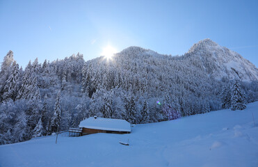 Fototapeta premium Winter hiking in Allières in the canton of Vaud, Switzerland