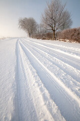Snow covered road in winter © Philip