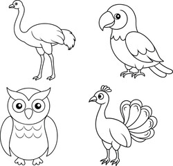 Fototapeta premium A Set Of Birds Line Art Illustration