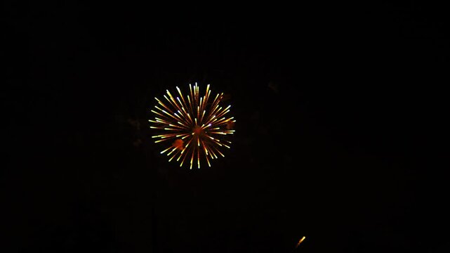Golden purple green sparks scattering fireworks on the black night sky. General plan