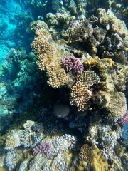 DCIM\100GOPRO\GOPR1446.JPG