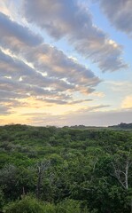 sunset over a green belt