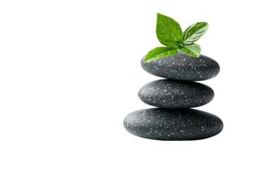 Three stacked black stones with a fresh green mint leaf, symbolizing tranquility and wellness on a white isolated background.