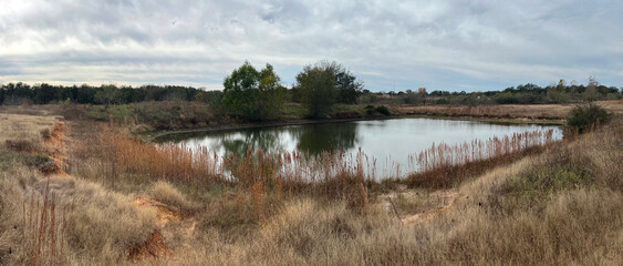 Pond in a Texas Wildlife Management Area during fall