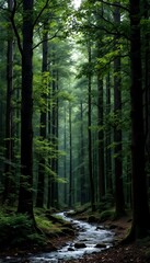 Fototapeta premium Peaceful Brook in Dense Woodland