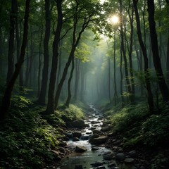 Fototapeta premium Serene Forest Stream and Greenery